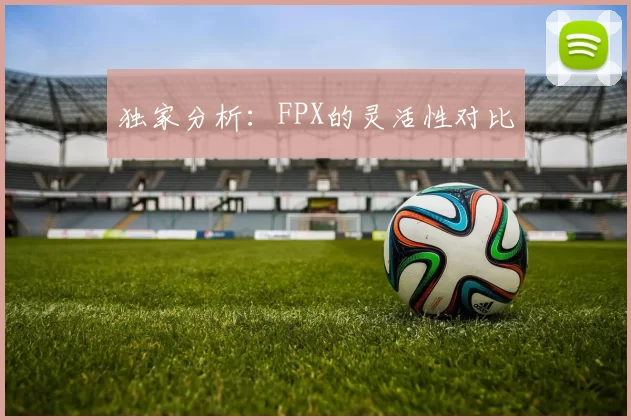 独家分析：FPX的灵活性对比
