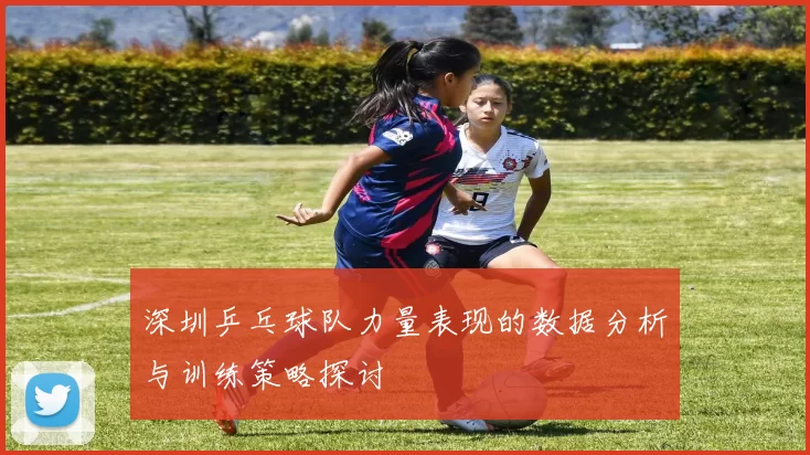 深圳乒乓球队力量表现的数据分析与训练策略探讨