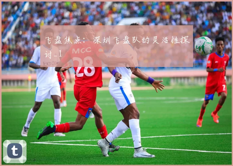 飞盘焦点：深圳飞盘队的灵活性探讨_1