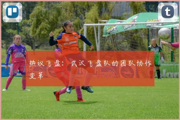 热议飞盘：武汉飞盘队的团队协作变革