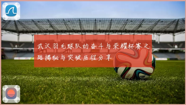 武汉羽毛球队的奋斗与荣耀杯赛之路揭秘与突破历程分享