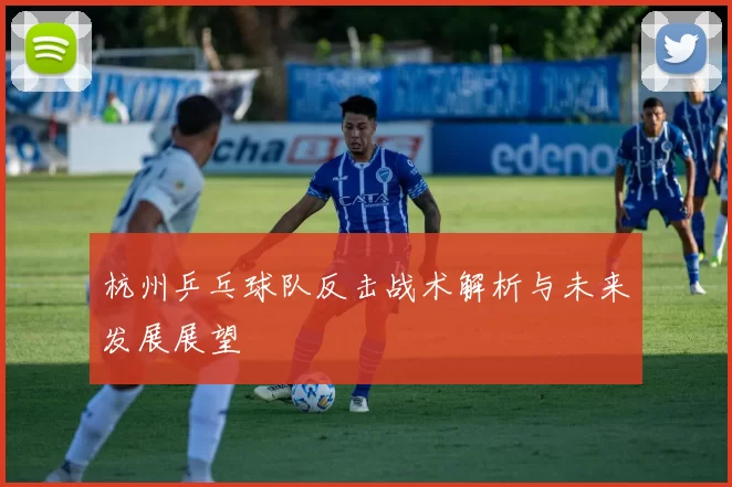 杭州乒乓球队反击战术解析与未来发展展望