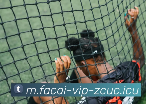 乐鱼体育平台生态图