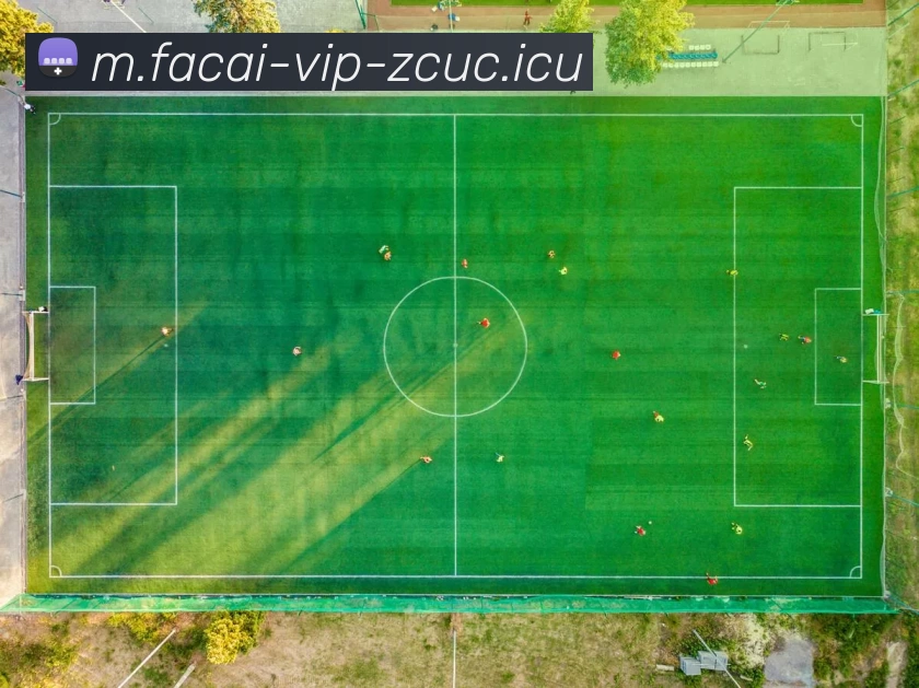 数据防护可视化